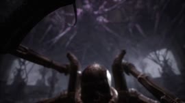 video.mp4
