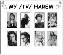 TV harem1.jpg