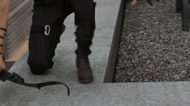 2423.webm