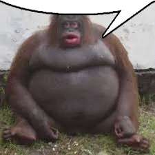 monkey-speech-bubble.png
