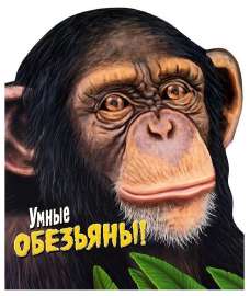изображение.png
