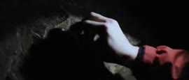 DAISY Horror, short film by legendary Netflix director Peter Thor.mp4