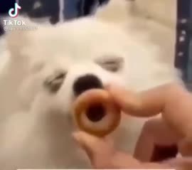 IMG7867.MP4