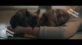 17203277560320.webm
