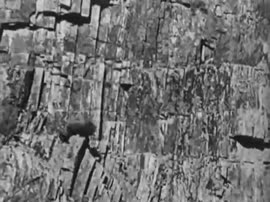 Las hurdes tierra sin pan-Земля без хлеба Луис Бунюэль 19339069.mp4