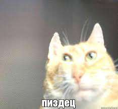 Без названия.jpeg.jpg