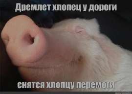 изображение.png