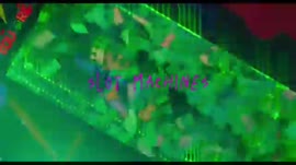 videoplayback.mp4