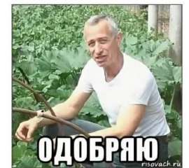 19255927.jpg