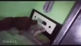 17527505439420.mp4