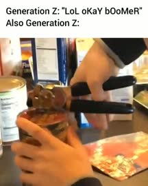 1752606168874356.webm
