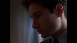 .mp4