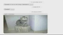 i.webp