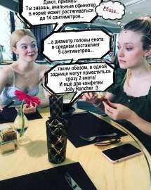 2 енота.jpg
