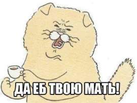 5447338.png