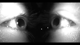 1753870361491.mp4