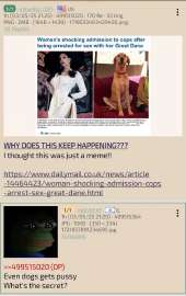 anon-is-blackpilled-about-dogpill-v0-9arum37b93ne1.png