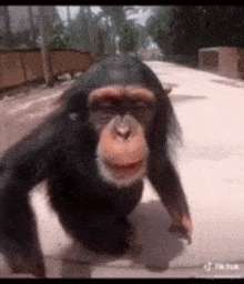 1753884766278.gif