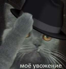1753841187223.jpg