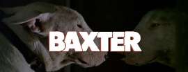 baxter-128676912.jpg