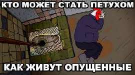 17543223993212573878775858089161.jpg
