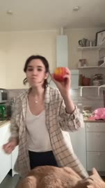 FA4E7B0B74C510D08BD7FB675348BEA3videodashinit.mp4