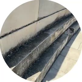 video (2).mp4