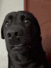 brotha-ehhh.gif