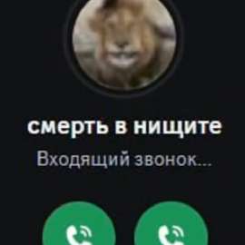 Без названия.jpeg