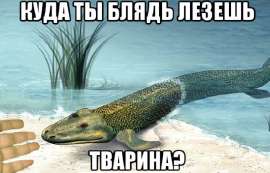 12677143.jpg