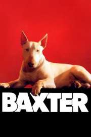 13117-baxter-0-2000-0-3000-crop.jpg