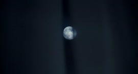 2.webm