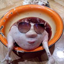 68c1a2de41c286f845a6329cf9d8cb89~c5720x720.jpeg