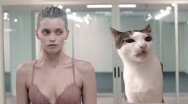 17520975899240.mp4