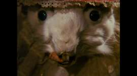Neco.z.Alenky.1988.720p.BluRay.FLAC.x264.rus.cze.mkvsnapshot00.11.02[2025.08.1107.29.15].jpg