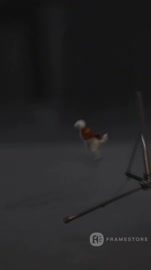 .mp4