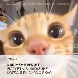 01.mp4