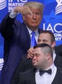 image.jpg