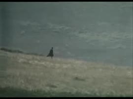 Свой среди чужих.webm