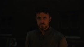 .mp4
