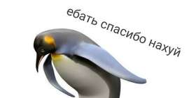 LRWVSA5PNFqB9m6N9BiCwA.jpeg