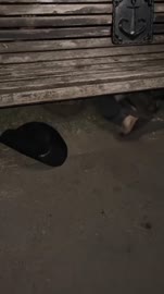 17562471491320.mp4