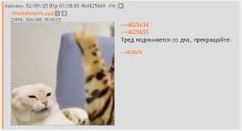 Безымянный.png