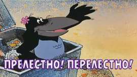 i.webp