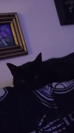 AQOB3CYE7GjFjqNec451VJGoTFXM4J82OlwJAY8XYwoRrBT8qBgvonsaU44yArt3kEn-zeiDKhBtlI6eFgD3tpVUi65koNDRomHip4.mp4