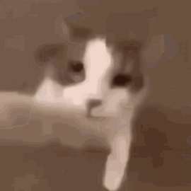 dcdd45bc02f89241babe4ab61ce69f01.gif