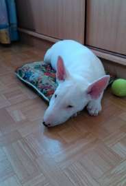IMG20250902091239.jpg