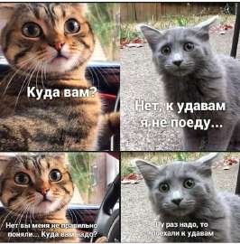 17234563099900.jpg