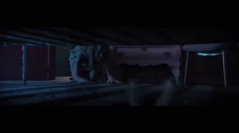 .mp4