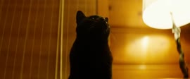 KofK лягуха светит сисками на старости лет.webm